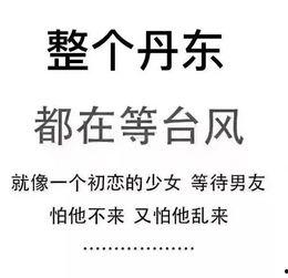 最新台风爆料新闻内容 第1张 最新台风爆料新闻内容 第1张