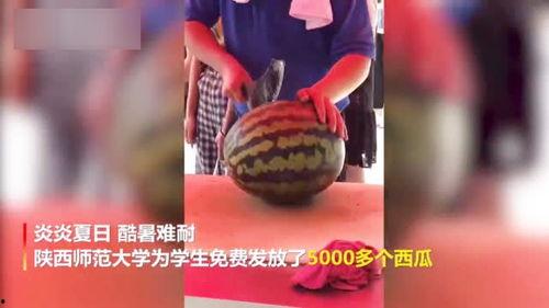 新瓜最新爆料老师视频,老师视频背后的惊人真相，新瓜爆料引发热议  第3张