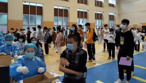 文安大瓜爆料最新消息,揭秘娱乐圈惊天秘密！  第3张